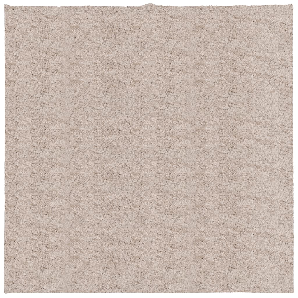 Vloerkleed PAMPLONA shaggy hoogpolig modern 160x160 cm beige