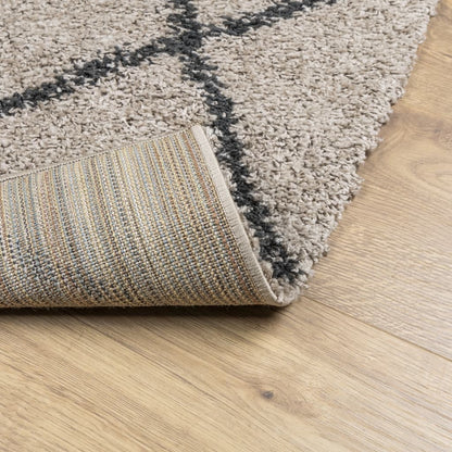 Vloerkleed PAMPLONA shaggy hoogpolig 160x230 cm beige antraciet