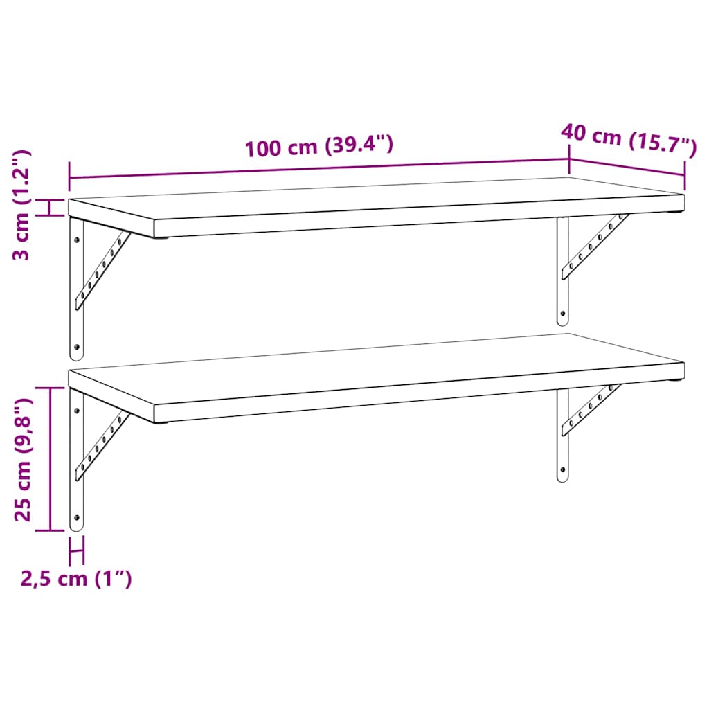 Wandschappen 2 st 100x40 cm roestvrijstaal zilverkleurig