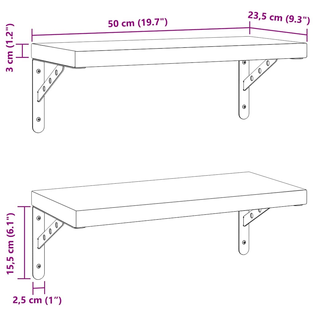 Wandschappen 2 st 50x23,5 cm roestvrijstaal zilverkleurig