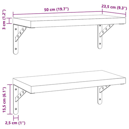 Wandschappen 2 st 50x23,5 cm roestvrijstaal zilverkleurig