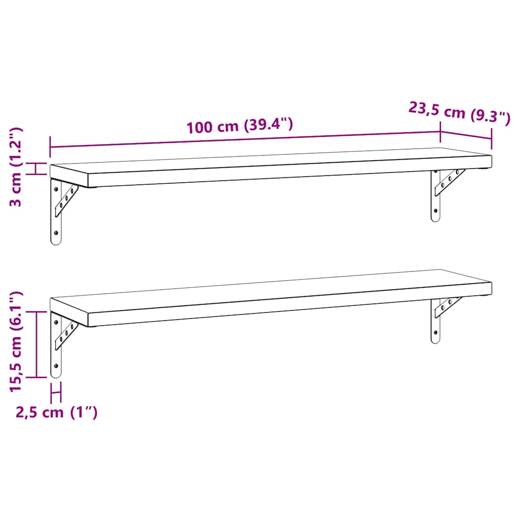 Wandschappen 2 st 100x23,5 cm roestvrijstaal zwart