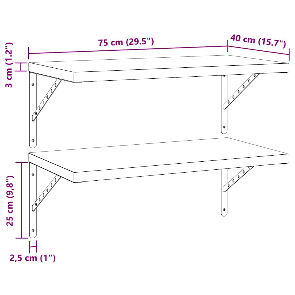 Wandschappen 2 st 75x40 cm roestvrijstaal zwart