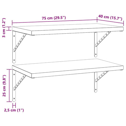 Wandschappen 2 st 75x40 cm roestvrijstaal zwart