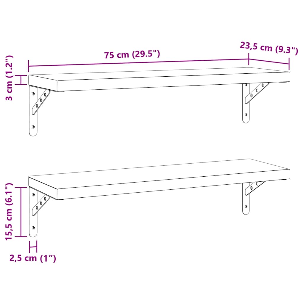 Wandschappen 2 st 75x23,5 cm roestvrijstaal zwart