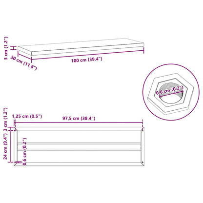 Wandschappen 2 st 100x30x3 cm roestvrijstaal zilverkleurig