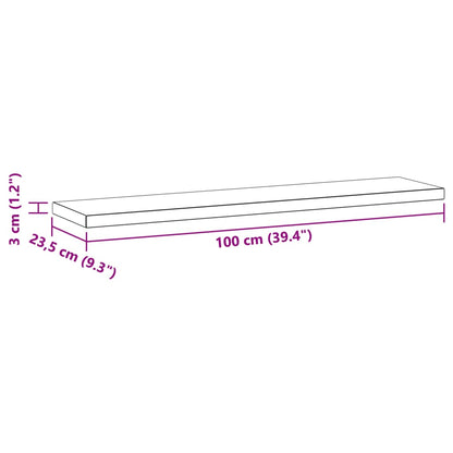 Wandschappen 2 st 100x23,5x3 cm roestvrijstaal zilverkleurig