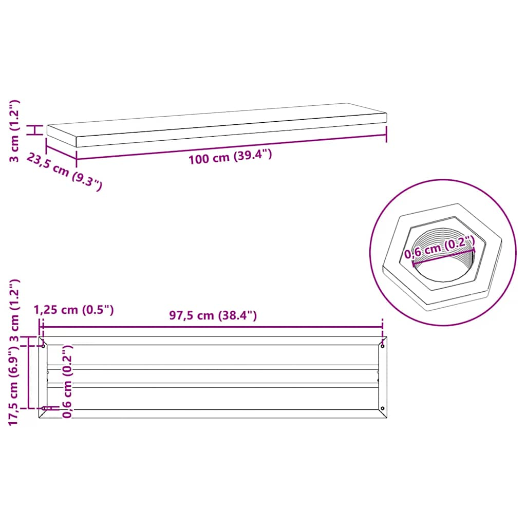 Wandschappen 2 st 100x23,5x3 cm roestvrijstaal zilverkleurig