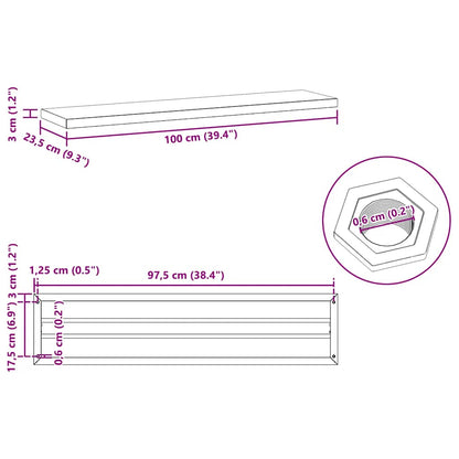 Wandschappen 2 st 100x23,5x3 cm roestvrijstaal zilverkleurig