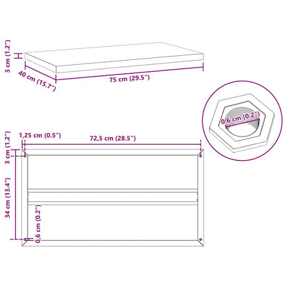 Wandschappen 2 st 75x40x3 cm roestvrijstaal zilverkleurig