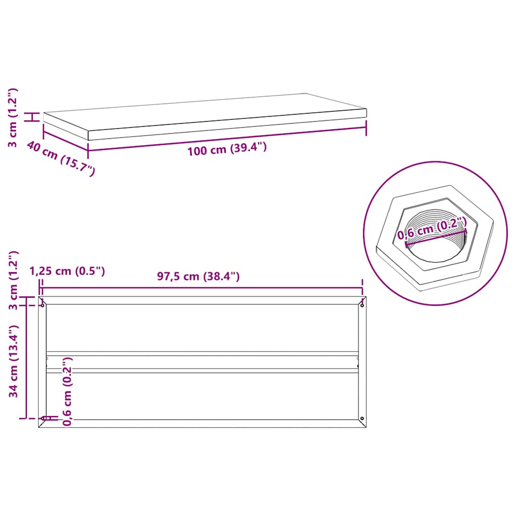 Wandschappen 2 st 100x40x3 cm roestvrijstaal zwart