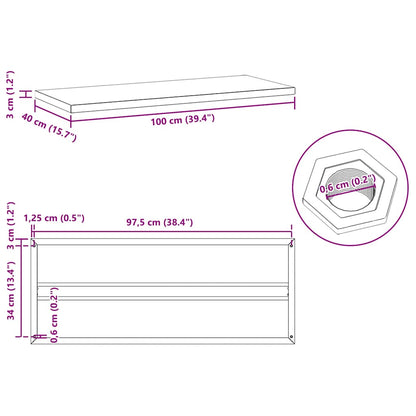 Wandschappen 2 st 100x40x3 cm roestvrijstaal zwart