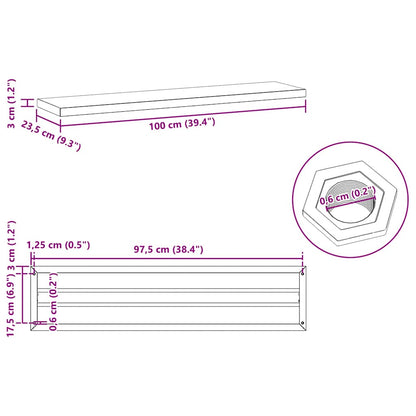 Wandschappen 2 st 100x23,5x3 cm roestvrijstaal zwart