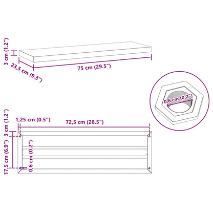 Wandschappen 2 st 75x23,5x3 cm roestvrijstaal zwart