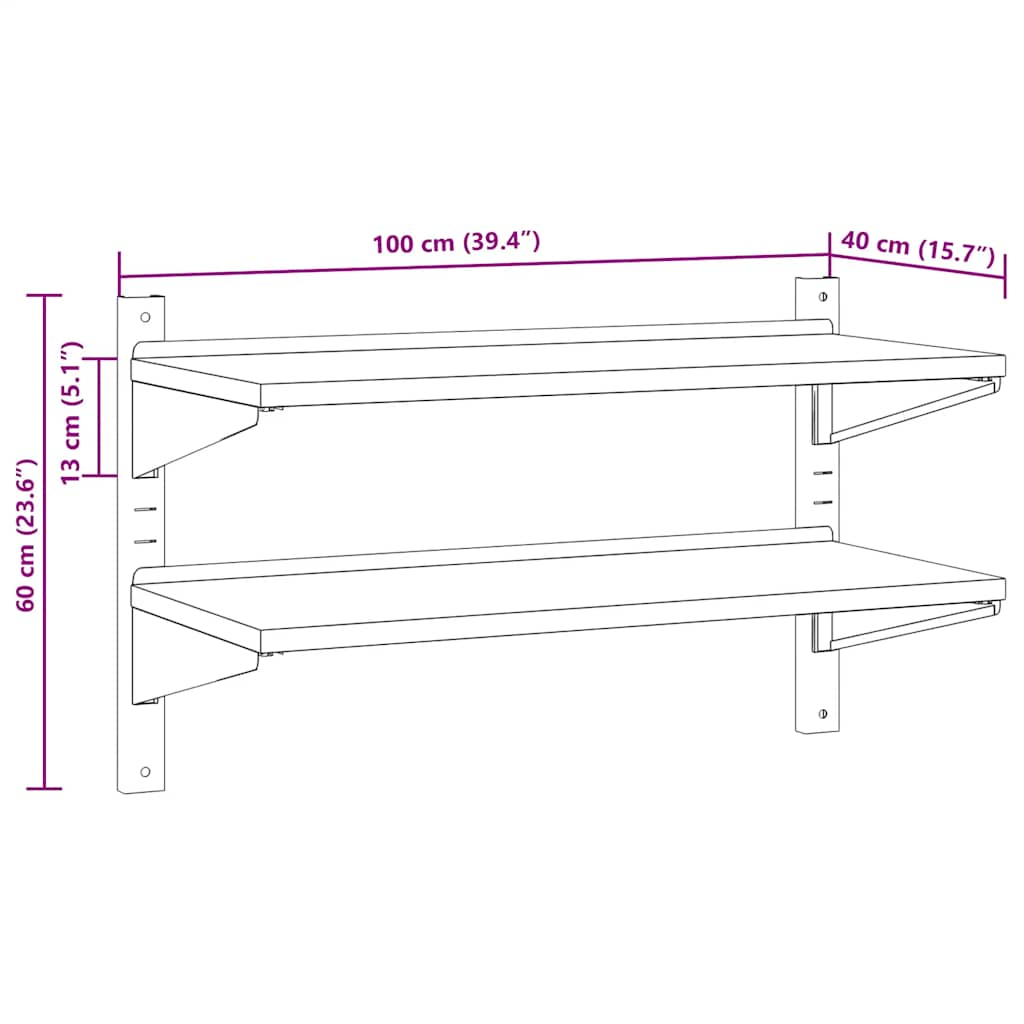 Wandschap 2-laags 100x40x60 cm roestvrijstaal zilverkleurig