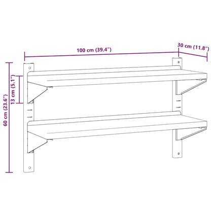 Wandschap 2-laags 100x30x60 cm roestvrijstaal zilverkleurig