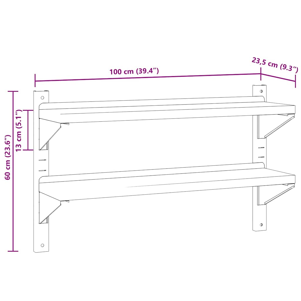 Wandschap 2-laags 100x23,5x60 cm roestvrijstaal zilverkleurig