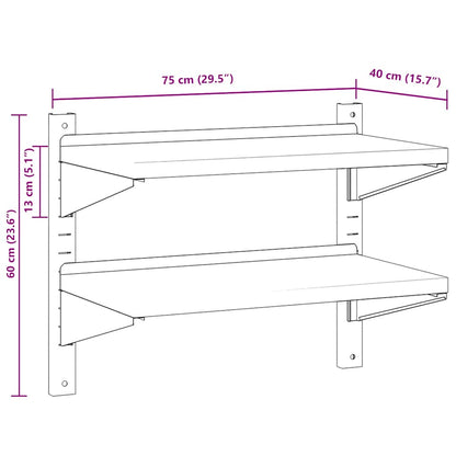 Wandschap 2-laags 75x40x60 cm roestvrijstaal zilverkleurig