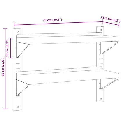 Wandschap 2-laags 75x23,5x60 cm roestvrijstaal zilverkleurig