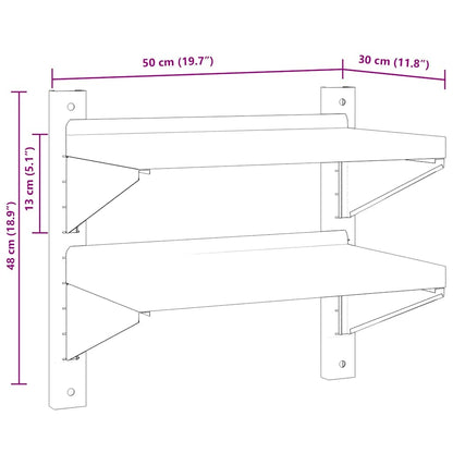 Wandschap 2-laags 50x30x48 cm roestvrijstaal zilverkleurig