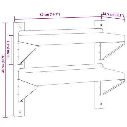 Wandschap 2-laags 50x23,5x48 cm roestvrijstaal zilverkleurig