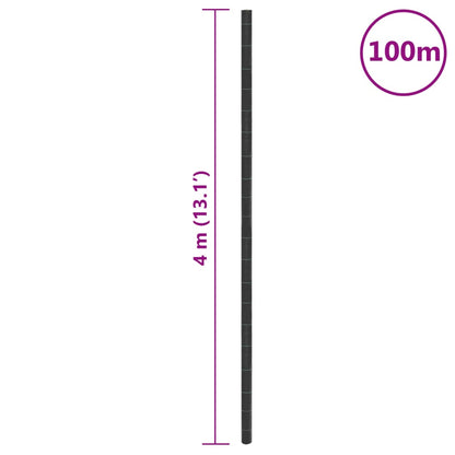 Worteldoek 4x100 m polypropeen zwart