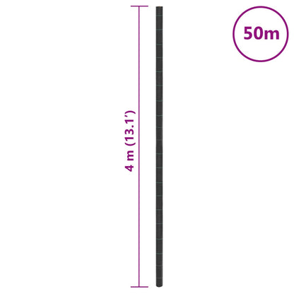 Worteldoek 4x50 m polypropeen zwart